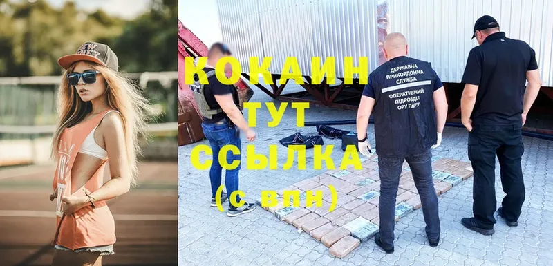 хочу наркоту  MEGA вход  Cocaine Эквадор  Отрадная 