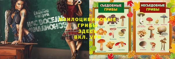 прущая мука Новодвинск