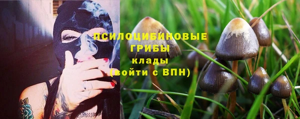 прущая мука Новодвинск