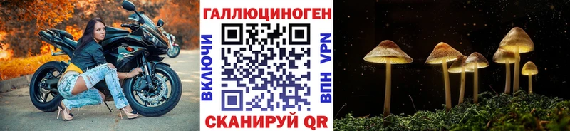 Псилоцибиновые грибы Psilocybe  даркнет какой сайт  блэк спрут онион  Отрадная  сколько стоит 